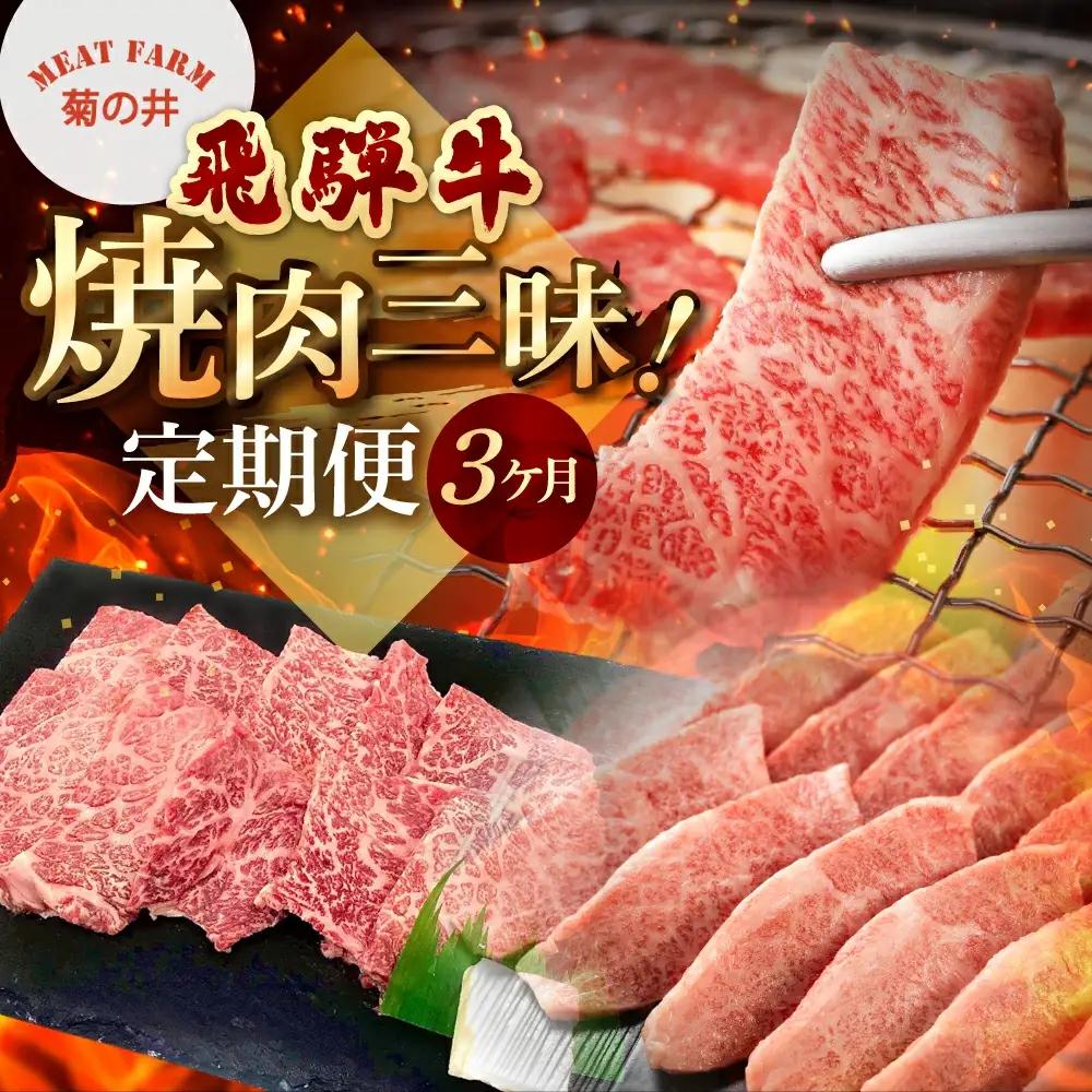 【定期便 3回】飛騨牛焼肉三昧！3ヶ月 連続定期便（2～3人前）【70-G】