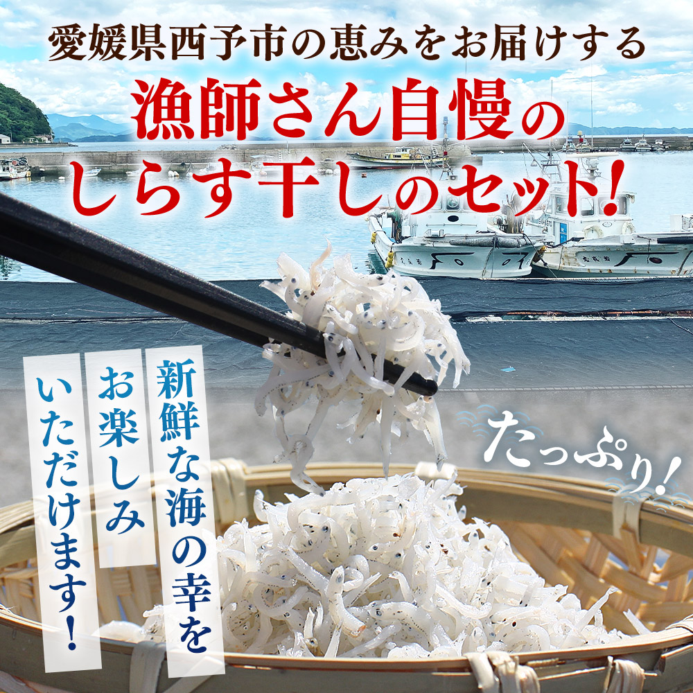 ＜【6回定期便】漁師さん自慢のしらす干し 合計1kg＞ 定期便 シラス 魚介類 さかな 海産物 海鮮 海の幸 小分け 国産 ご飯のお供 丼 晩酌 おかず 特産品 濵田水産 愛媛県 西予市