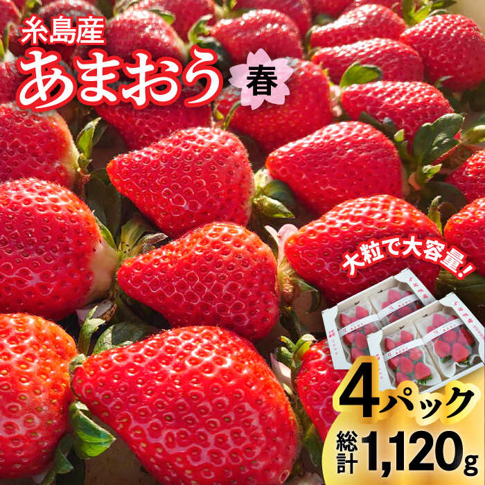【ふるさと納税】【先行予約】(農家直送！) 糸島産 春 あまおう 280g × 4パック (DXまたはGサイズ) 【2026年1月下旬以降順次発送】糸島市 / 後藤農園 [AML002] いちご イチゴ 苺 14000円 ギフト