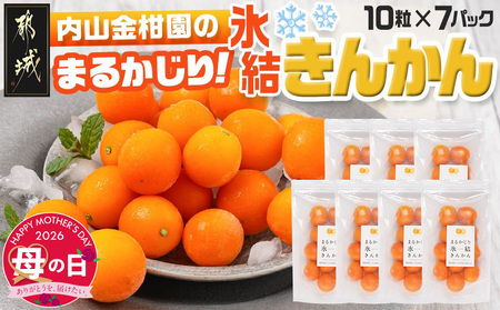 【母の日】内山金柑園のまるかじり氷結きんかん7パック≪5月7日～10日お届け≫_AO-J703-MG_(都城市) 内山金柑園 完熟きんかん 氷結きんかん 急速冷凍 糖度16％以上 シャーベット 10粒   母の日 ギフト