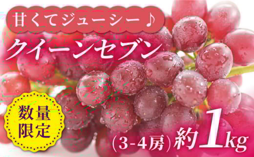 ぶどう 【先行予約】【種なし皮ごと！】 クイーンセブン 約1kg（3～4房）＜山田果樹園＞ [CCX007] ぶどう ブドウ 種なし 西海市産 ぶどう 果物 フルーツ