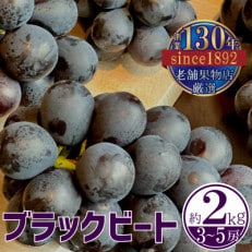 【2024年8月中旬より出荷】ブラックビートぶどう(約2kg)