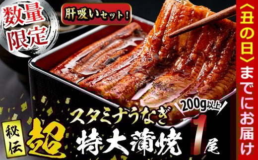 【丑の日までに配送】【数量限定】鹿児島県産！秘伝の特上スタミナうなぎ超特大蒲焼き1尾＜200g以上！＞肝吸いセット！ a1-150-us