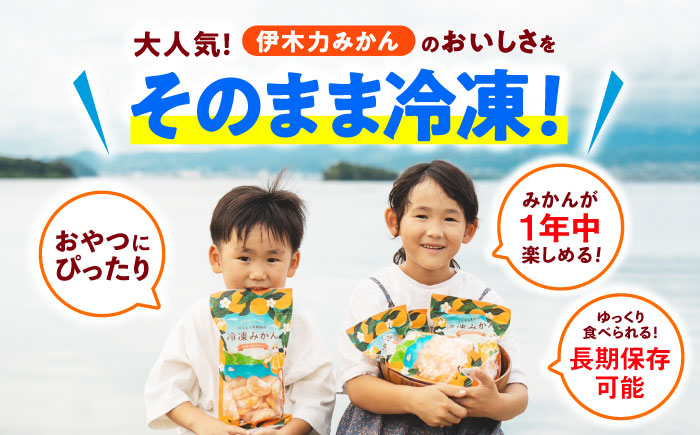 ※【2025年11月発送分／先行予約】冷凍 伊木力みかん 400g×4袋 計1.6kg / みかん ミカン 蜜柑 冷凍みかん 伊木力みかん 冷凍 / 諫早市 / 山野果樹園 [AHCF006]