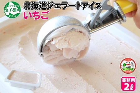 606.アイスクリーム いちご ジェラート イチゴ 苺 業務用 2リットル 2L ベリー アイス 大容量  手作り 北海道 弟子屈町