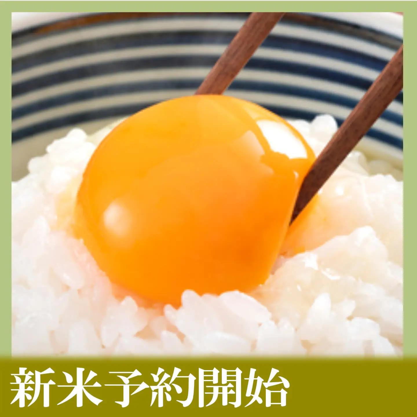 【令和8年　新米予約】定期便12ヶ月【無洗米】5kg南魚沼しおざわ産コシヒカリ｜無洗米【2026年10月上旬から1ヶ月以内に順次発送予定】