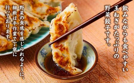 【食感と昆布だしにこだわり】 【2回定期便】お酒によく合う野菜餃子40個(10個×4箱)【 餃子 加工品 冷凍 おつまみ つまみ 定期便 食品 グルメ お取り寄せ お取り寄せグルメ 八雲町 北海道 】