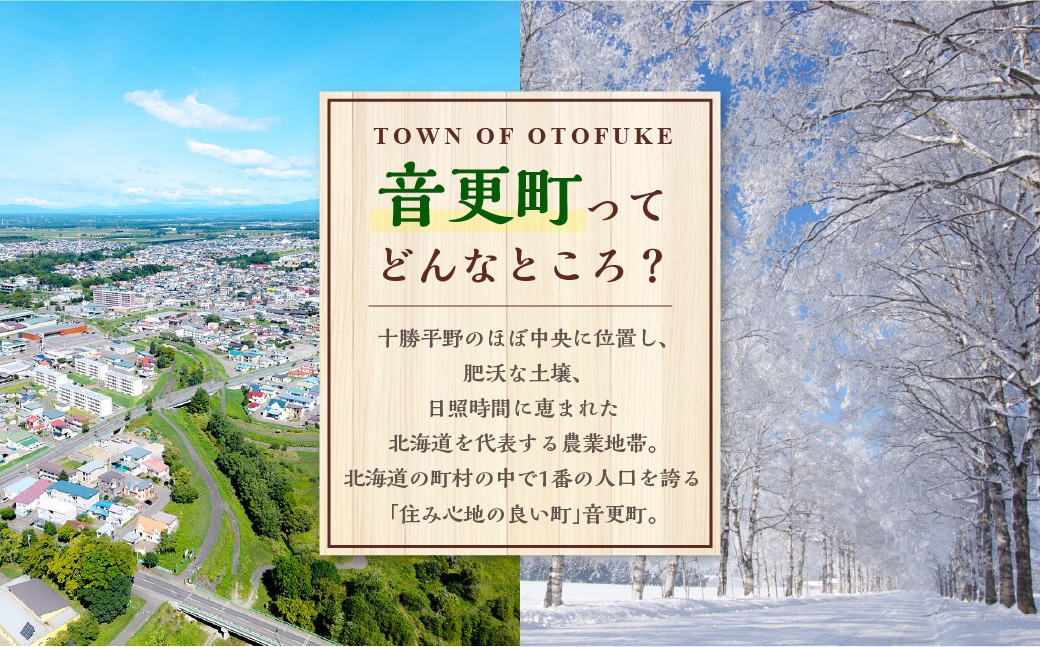 「cow humming」和牛ハンバーグパテ（1kg）【A75】