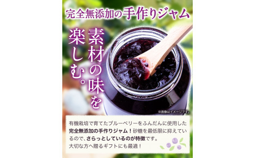 無添加 手作り ブルーベリージャム（180g×3個） 《30日以内に出荷予定(土日祝除く)》ベリーベリーファームわきまち 徳島県 美馬市 ブルーベリー ジャム 果物 フルーツ 青果物 st-p