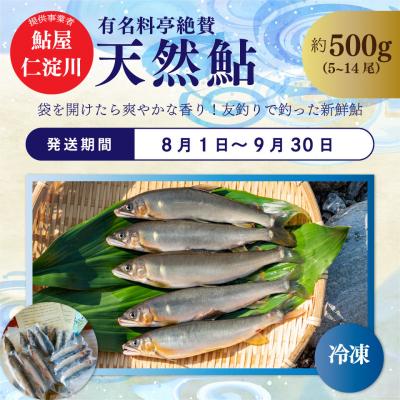 ふるさと納税 佐川町 <2026年鮎から発送>年3回【さかわのお魚定期便(配送月:8月〜11月)】うなぎ 鰹のタタキ 鮎 |  | 01