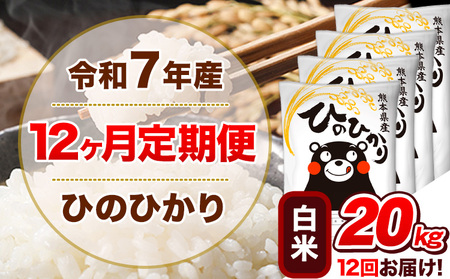 白米 12か月定期便 ひのひかり 20kg 精米