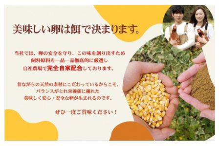 【１２ヶ月定期便】丹波奥郷の卵 やまぶき ４５個+５個破卵補償 (約3L）　たまご