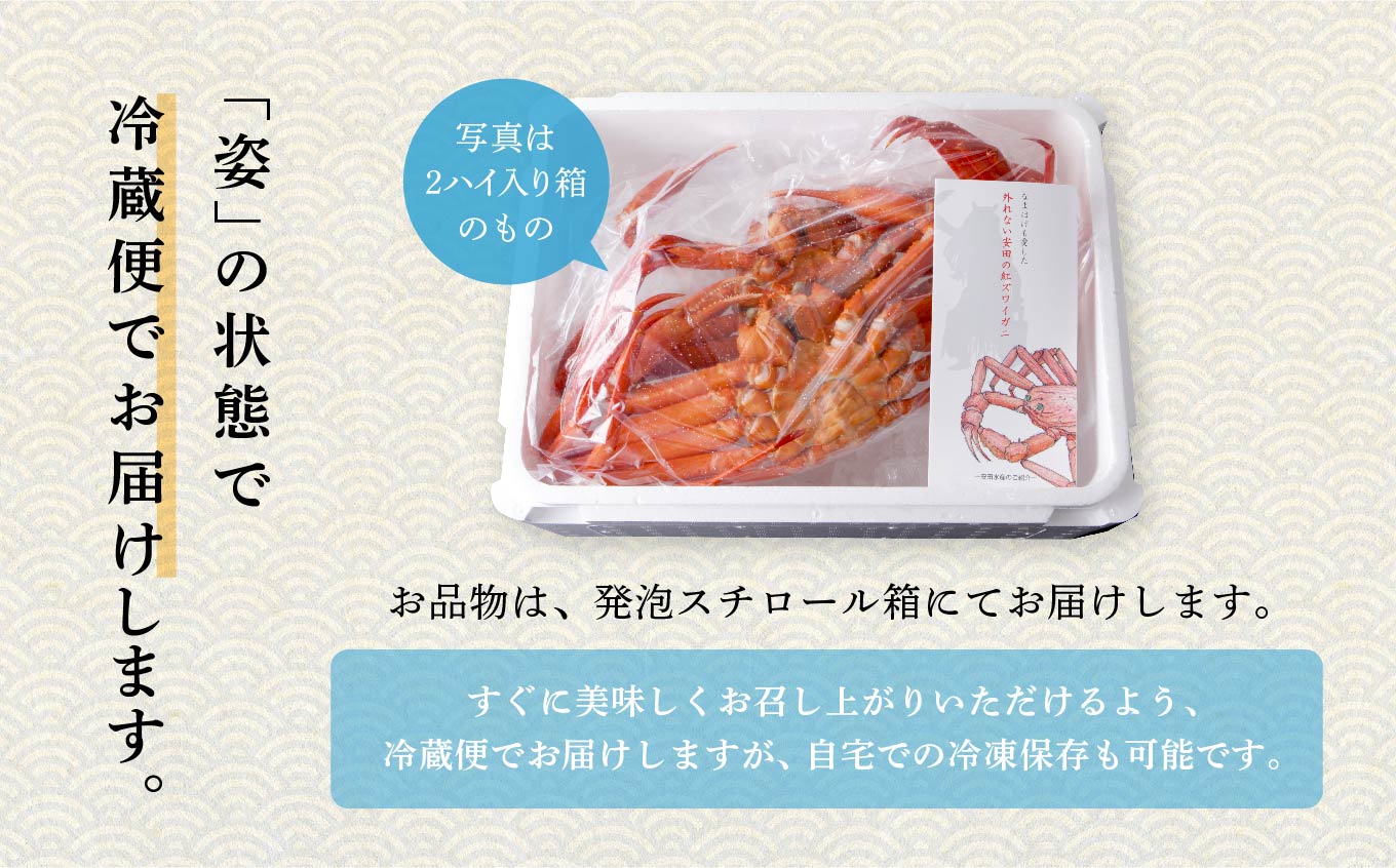 日本海沖産 紅ズワイガニ500g前後×4匹 約2.0kg/冷蔵 冷蔵 ズワイガニ 4匹 約 2.0kg 紅ズワイガニ ベニズワイガニ ずわい ズワイ蟹 ずわいがに ずわい蟹 姿 ボイル 訳あり 蟹 カニ かに 国産 蟹 不揃い 傷 緊急 カニみそ入り 潟上市