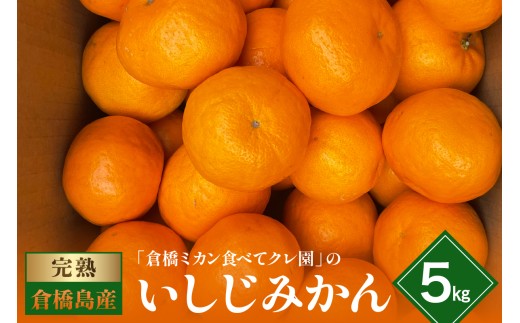 【先行受付】【2026年12月～発送】倉橋ミカン食べてクレ園 いしじみかん 約5kg ku154-001-26
