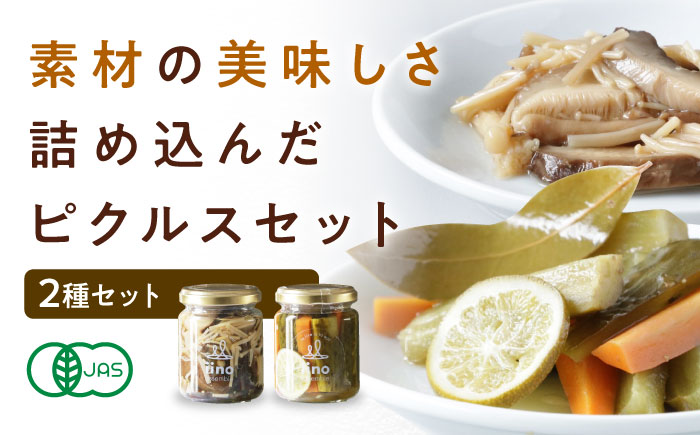 ピクルスセット 2個入り 愛媛県大洲市/iino assemble | ピクルス 野菜 詰め合わせ セット 加工食品 漬物 [AGAA014]