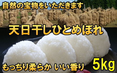 天日干しひとめぼれ 令和7年産 白米5kg [AC046]
