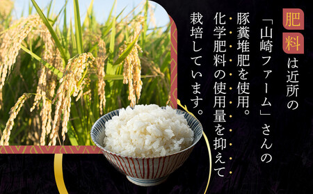 【先行予約】R7年産 白米 にじのきらめき5kg