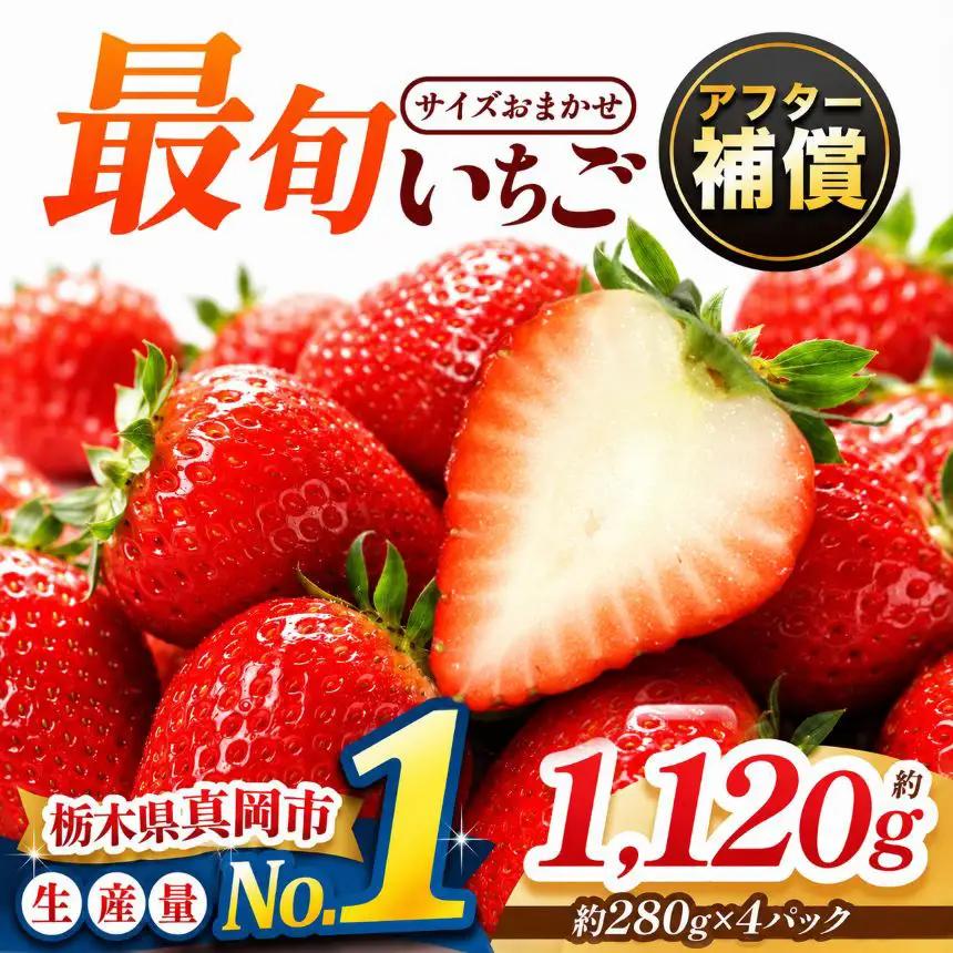 【先行予約受付中】【2027年1月発送】大人気！ 最旬とちあいか 約1120g 4パック いちご