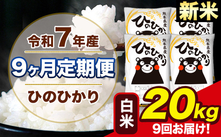 新米 令和7年産 【9ヶ月定期便】 ひのひかり 白米 20kg 5kg×4袋 計9回お届け 熊本県産 こめ コメ 精米 荒尾市 ひの 米 定期 《お申込み翌月から出荷》