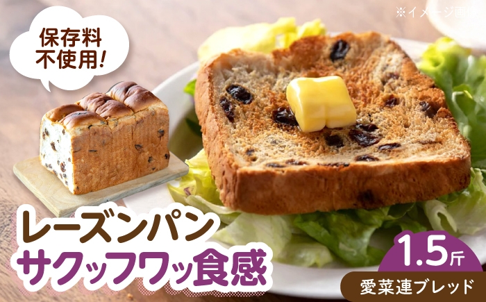 
                  パン 愛菜連ブレッド (レーズンパン 1.5斤) 広島県福山市/マルフク株式会社 レーズンパン 食パン 焼きたて ふんわり レーズン 朝食 トースト 甘み 国産 [BAFW010]
                