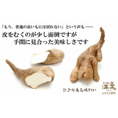 ふるさと納税 江差町 北海道産 ひらいも  3kg |  | 02