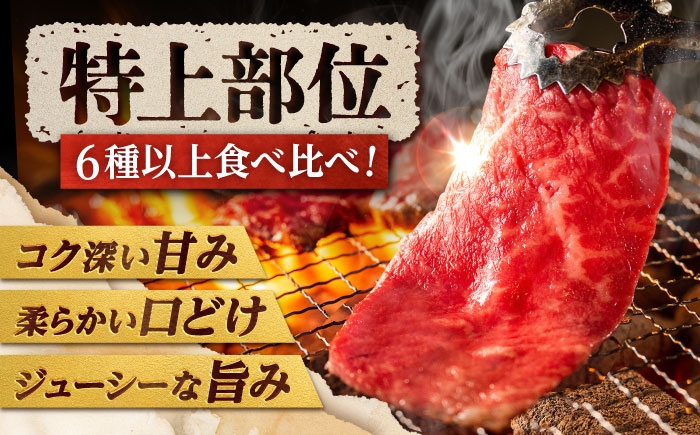 肉 牛肉 佐賀牛 A5 A4 お肉 肉 牛 牛肉 和牛 国産 国産牛 赤身 シャトーブリアン