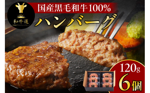 国産黒毛和牛「十勝姫」100％使用！和牛道ハンバーグ120g×6個セット グラスフェッドビーフ 十勝姫 ハンバーグ_S017-0003