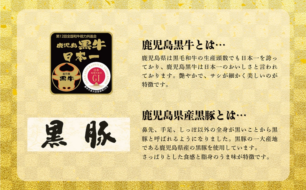 鹿児島黒牛×黒豚 黒黒生ハンバーグ6個セット