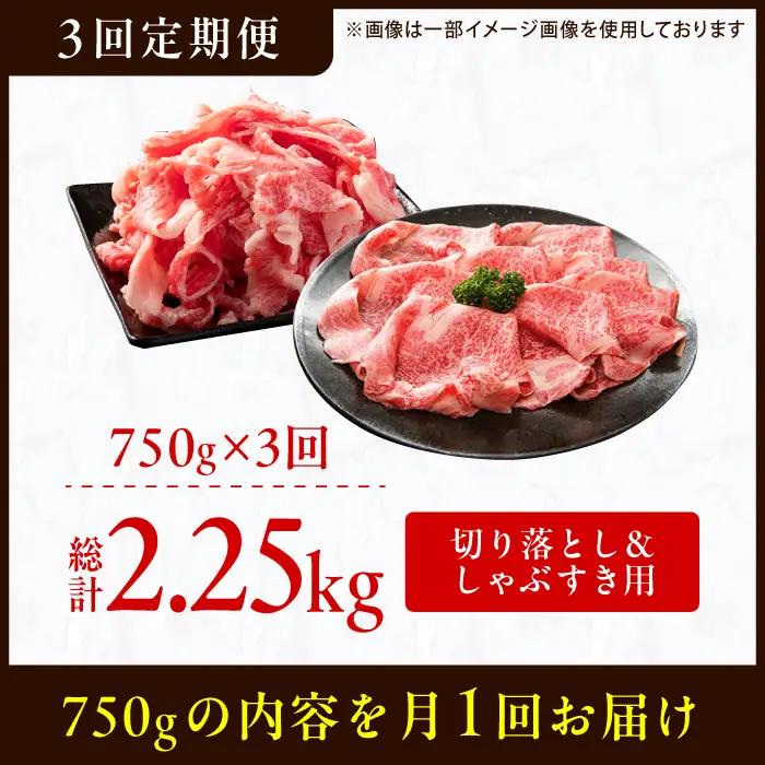 【3回定期便】【訳あり】しゃぶしゃぶ すき焼き 750gセット / 牛肉 お肉 すき焼き  [AFBO031] 
