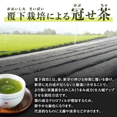 ふるさと納税 大牟田市 銘茶の里奥八女 特上深蒸し茶 高級煎茶(冠せ茶)(各100g×2) |  | 01