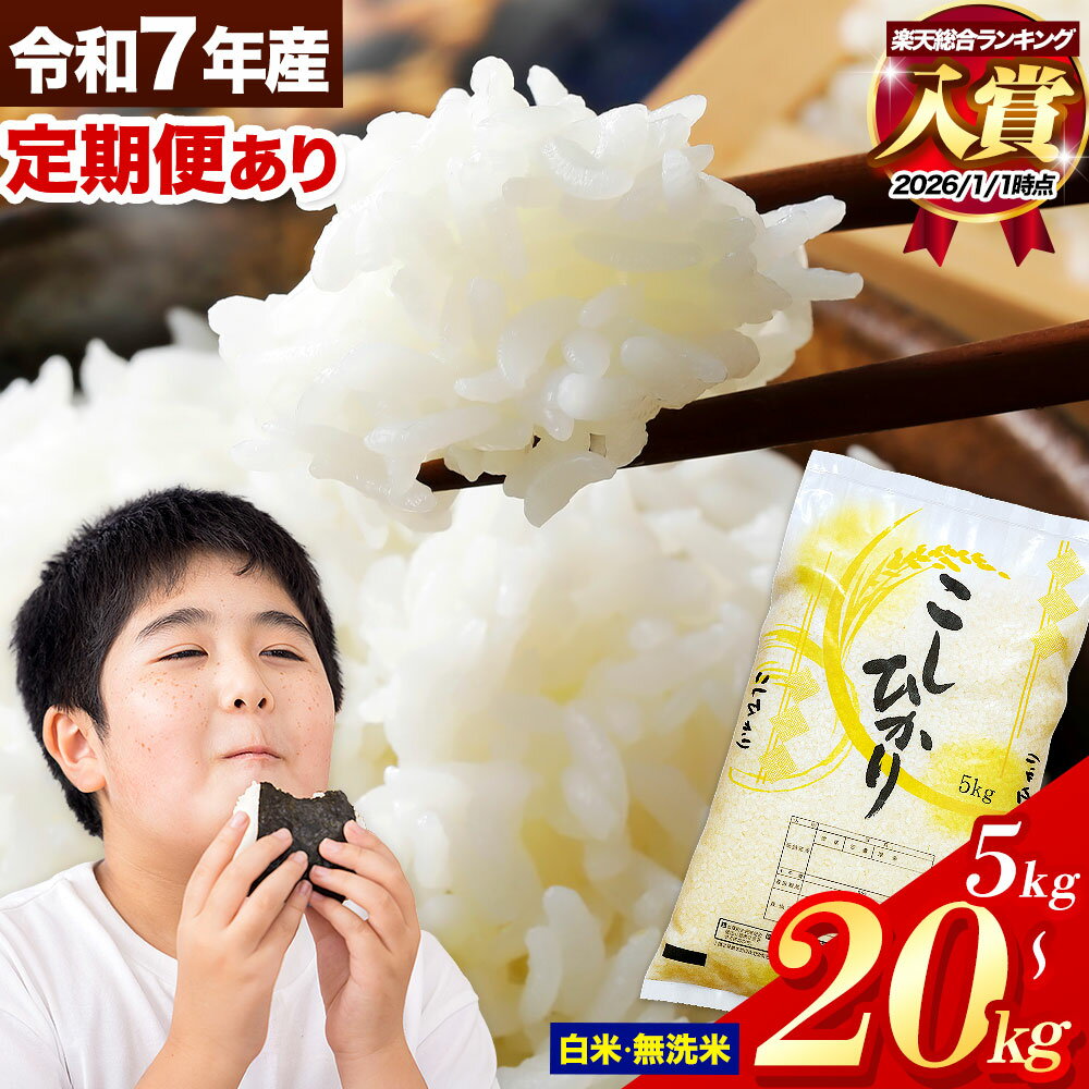 【ふるさと納税】ランキング 入賞 令和7年産 無洗米 も選べる こしひかり 5kg 10kg 20kg 定期便 3ヶ月 6ヶ月 12ヶ月 も選べる 熊本県産 ふるさと納税 無洗米 白米 精米 ひの 米 こめ ふるさとのうぜい コシヒカリ コメ お米 おこめ 小分け《出荷時期をお選びください》
