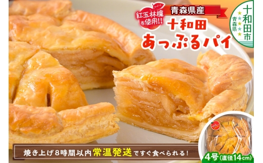 青森県産紅玉林檎のアップルパイ「十和田あっぷるパイ」1個 青森 十和田市 焼菓子工房MaNa [常温発送 冷凍保存可]