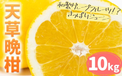 天草晩柑 約10㎏ | フルーツ 果物 くだもの 柑橘 晩柑 《3月上旬-5月下旬頃出荷》 和製グレープフルーツ みかん ミカン 蜜柑 熊本県 苓北町 天草