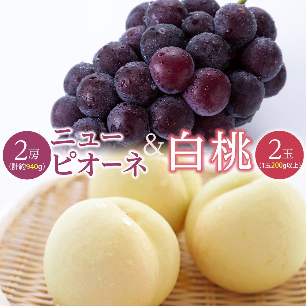 【ふるさと納税】桃 ぶどう 2026年 白桃 2玉（1玉200g以上） ニュー ピオーネ 2房（合計約940g）詰合せ もも 葡萄 岡山県産 国産 フルーツ 果物 ギフト | フルーツ 果物 くだもの 食品 人気 おすすめ