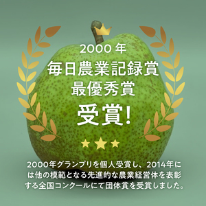 【2026年発送】西洋梨《ラ・フランス》約1.5kg（4～8玉）光センサーで糖度14度以上を確認済 [h039]