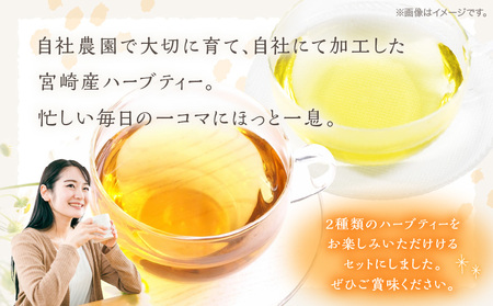 モリンガ茶30パック　カモミールティー30パック　2袋セット 紅茶 ハーブティー