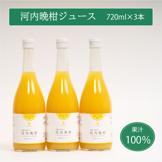 
無添加 果汁100% 河内晩柑ジュース 720ml×3本入 河内晩柑 愛南ゴールド みかんジュース ジュース みかん 蜜柑 グレープフルーツ オレンジ 果物 柑橘 フルーツ ゼリー アイス 発送: 5月15日～11月30日 順次発送
