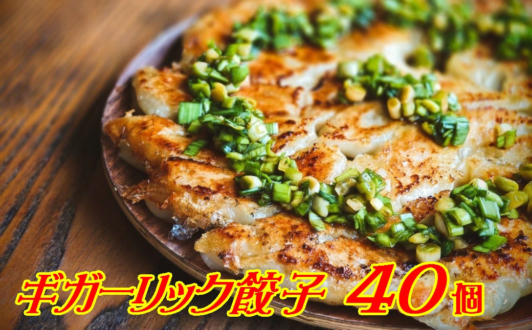 
パワーみなぎる！ギガーリック餃子 40個入【特製葉にんにくのたれ付】
