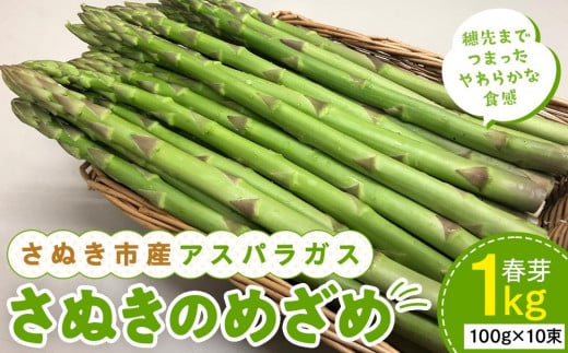 【3月上旬頃～発送】さぬき市産 アスパラガス さぬきのめざめ 春芽 1kg