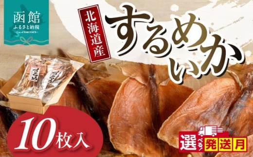 【1月発送】北海道産するめいか10枚セット（1枚40g～50g）_HD231-003-01
