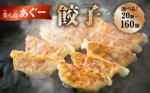 
                  【美ら島あぐ～】＜選べる容量＞餃子　1～８パック   I  アグー豚 あぐー豚 あぐ～豚 豚肉 ぶた肉 ブランド豚 餃子 ぎょうざ 冷凍食品 おかず おつまみ    沖縄県 南城市 ふるさと納税 那覇ミート
                