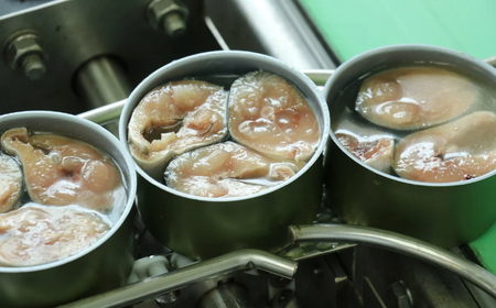 【12ヶ月定期便】 国産 無添加 さば缶詰 水煮 180g×8缶セット 【 サバ 鯖 サバ缶 さば缶詰 無着色 海産物 おつまみ 備蓄 防災 食料 国産 】 RT2115