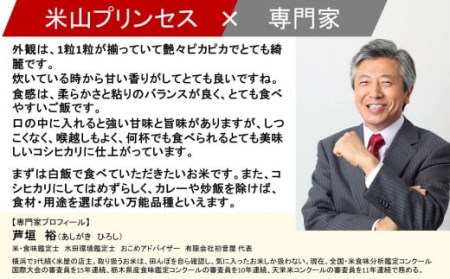 【令和7年産米】新潟産最上級コシヒカリ「米山プリンセス」 無洗米 5kg  おいしいね アグリード越後のお米 [ZF303]