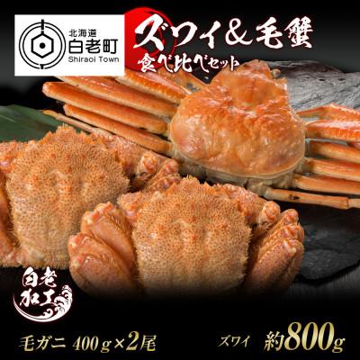 ふるさと納税 白老町 ズワイ姿 &amp; 毛蟹 食べ比べ セット BM065