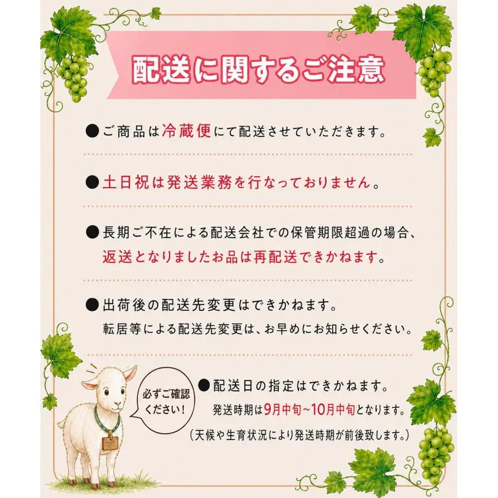 静岡産 高糖度シャインマスカット 3房（約1.5kg）【配送不可地域：北海道・沖縄県・一部離島】