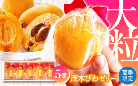 【2026年5月上旬-発送】【夏季限定】茂木びわ ゼリー 5個入 / びわ ビワ ゼリー フルーツ 果物 ギフト 贈答 お中元 / 南島原市 / 本田屋かすてら本舗 [SAW039]