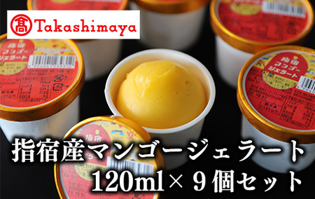 ＜高島屋選定品＞指宿マンゴージェラート9個セット(IB001-034/59D1953)