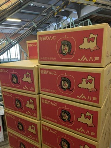 青森県産りんご 光センサー選別 サンふじ 約10kg 中～小玉 りんご