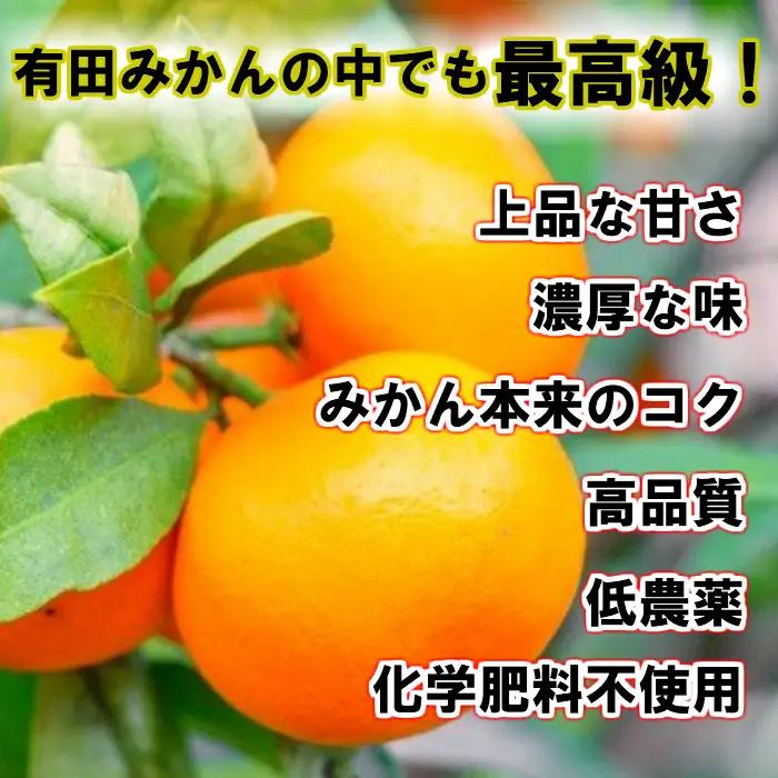 【先行予約】【秀品】田村みかん 和歌山有田 約10kg