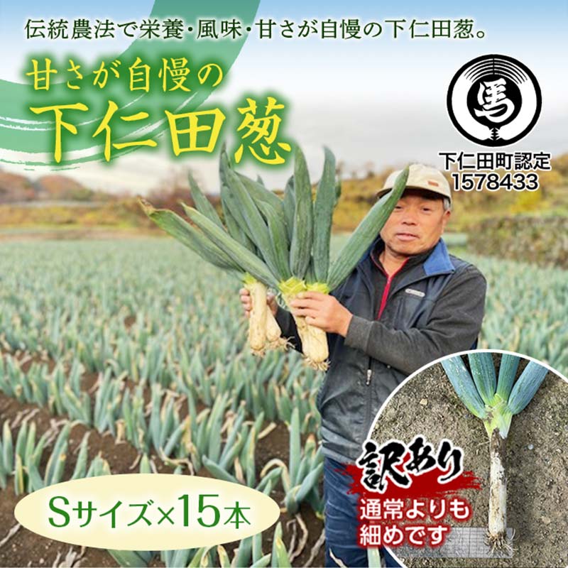 【ふるさと納税】訳あり（家庭用）甘さが自慢の下仁田葱 Sサイズ 15本 とろける 甘い ねぎ ネギ 王様ねぎ 殿様ねぎ 特産 栄養たっぷり ブランド 上州ねぎ すきやき F21K-619